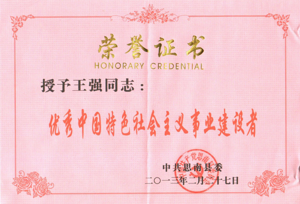 王強，2013年優秀中國特色社會主義事業建設者